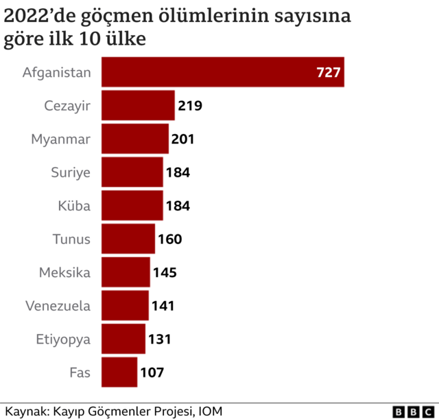 Göçmen Ölümleri: ICE Gözetiminde Yaşanan Trajedi ve İhlaller | TrendsOmni Dijital Haber Portalı