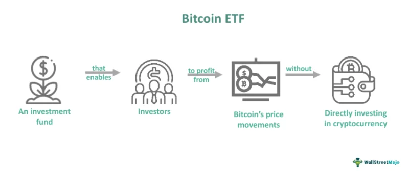 Bitcoin ETF akımı: 2026'daki Yükselişi Sürdürecek mi? | TrendsOmni Dijital Haber Portalı