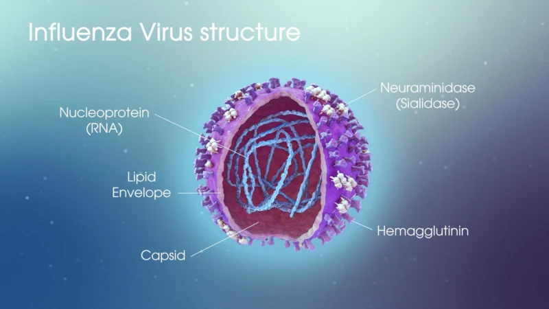 Influenza A ile Çocuklarda Grip Salgını: Belirtiler ve Önlemler | TrendsOmni Dijital Haber Portalı