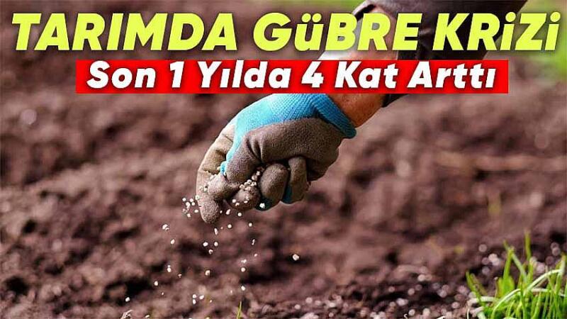 Afrika Gübre Krizi: Hükümetler Acilen Ne Yapmalı? | TrendsOmni Dijital Haber Portalı