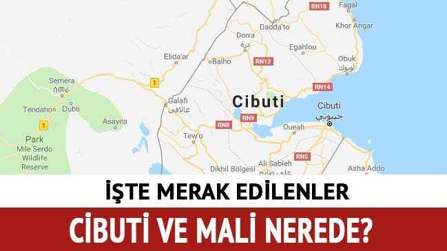 Cibuti Seçimleri Nasıl Bu Kadar Tek Taraflı Geçti? | TrendsOmni Dijital Haber Portalı